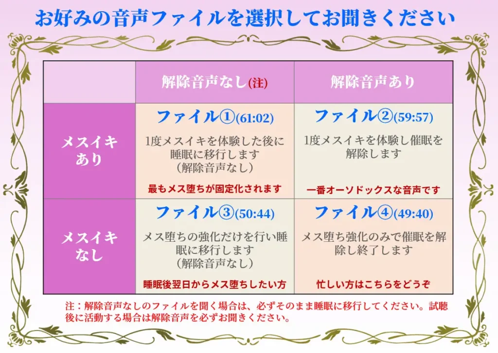 不可逆性・メス堕ち催淫プログラム サンプル画像5